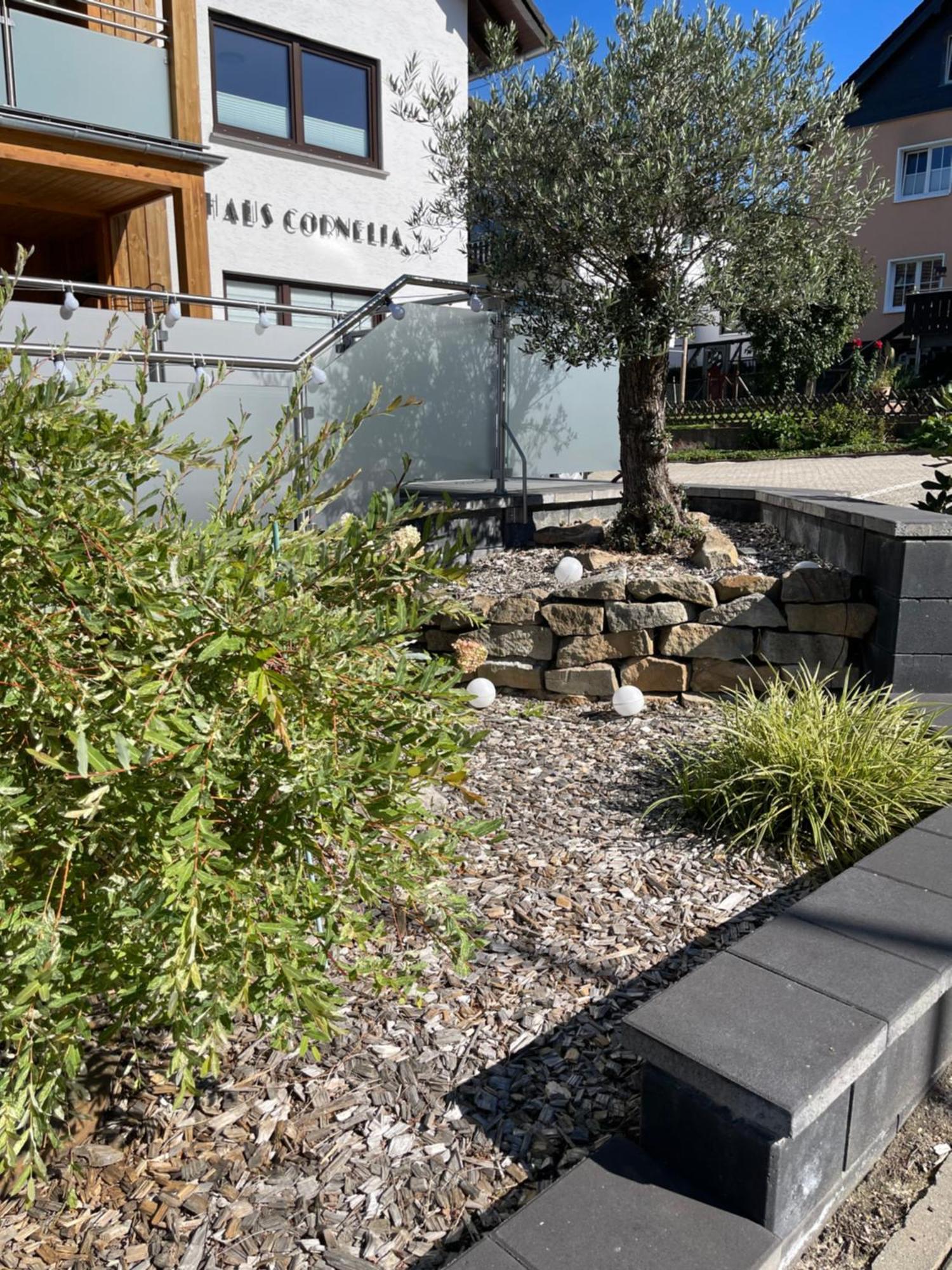 Haus Cornelia Apartment Айнрур Екстериор снимка